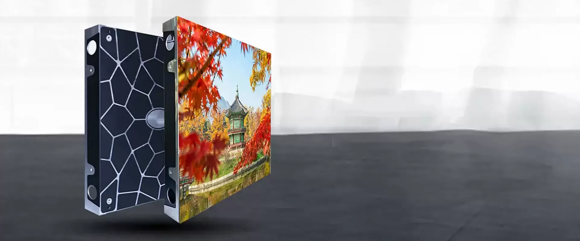 FI5 V (P1.25, P1.56, P1.66) INFORMACIÓN DETALLADA Y CARACTERÍSTICAS