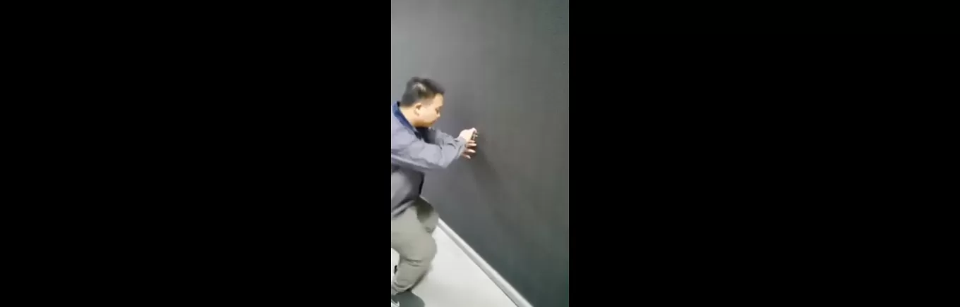 Vídeo de la serie de módulos