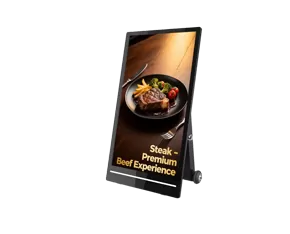 Al Aire Libre LCD Iposter con batería serie (43/55 pulgadas)